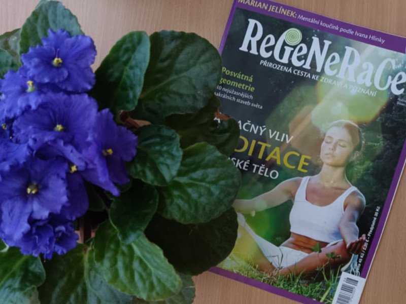 Srpnová Regenerace nabízí meditaci či vodoléčbu Srpnová Regenerace nabízí meditaci či vodoléčbu