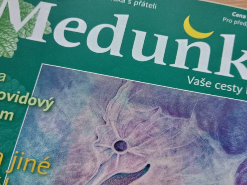 Zářijová Meduňka je plná soli a minerálů Zářijová Meduňka je plná soli a minerálů